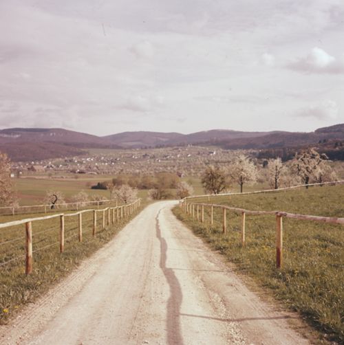 Fotografie, Birstal, Chirsibluest