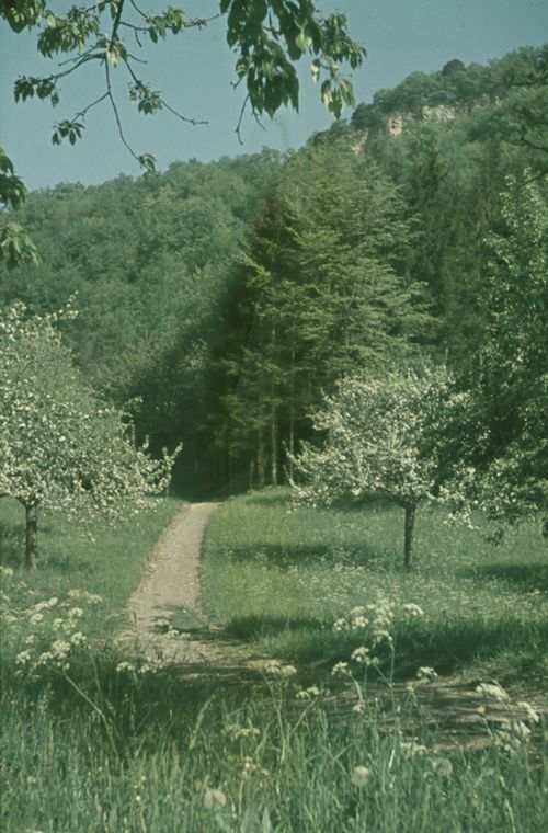 Fotografie, Liestal, Rote Fluh
