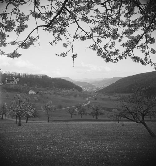Fotografie, Liestal, Röserental