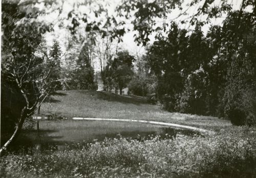 Fotografie, Sissach, Schloss Ebenrain, Parkanlage