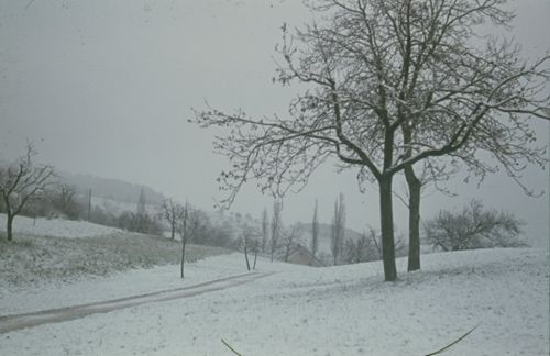 Fotografie, Farnsberg, Winterlandschaft