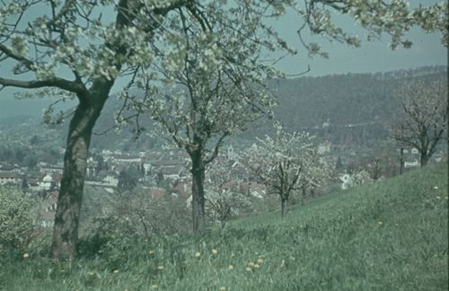 Fotografie, Liestal von Sommerhalde aus