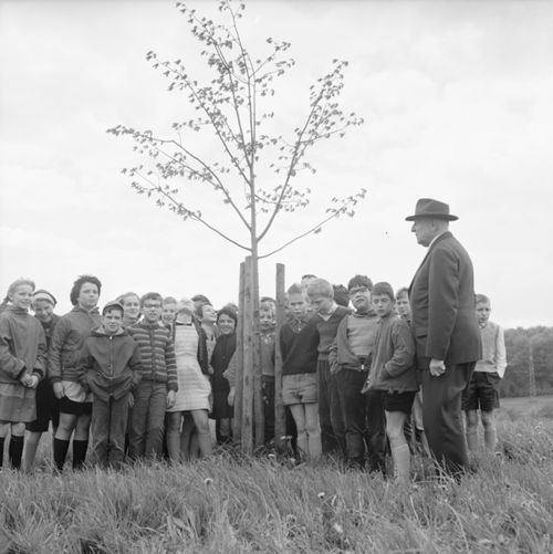 Fotografie, Liestal, Friedenslinde, Klasse C.A.Ewald
