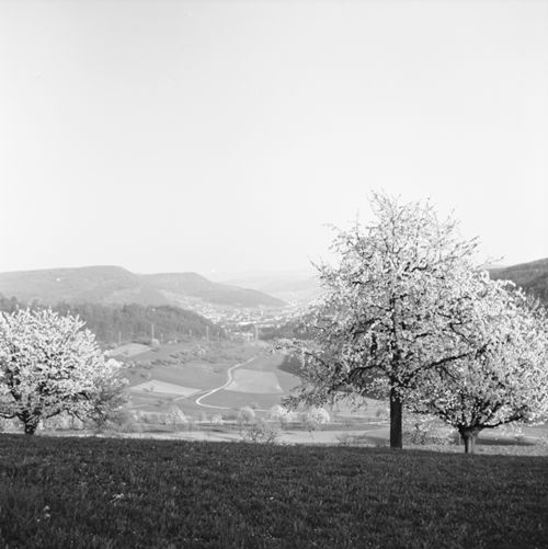 Fotografie, Liestal, Röserental