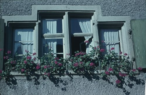 Fotografie, Reigoldswil, Fenster Restaurant Sonne