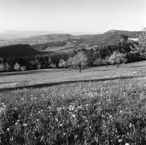 Fotografie, Landschaft