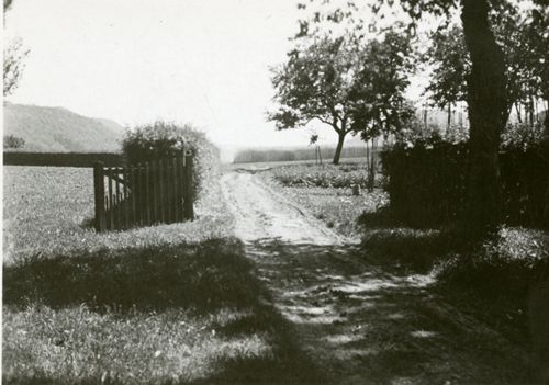 Fotografie, Sissach, Schloss Ebenrain, Hofgut