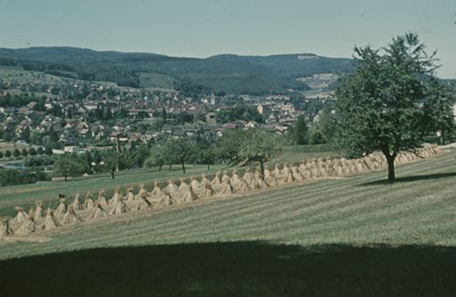 Fotografie, Liestal, Ausblick Sigmund gegen Schauenburg