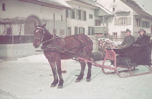 Fotografie, Ormalingen, Pferdeschlitten