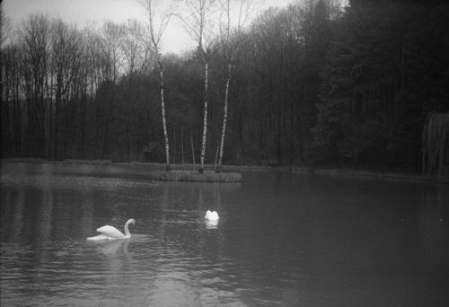 Fotografie, Liestal, Orisweiher
