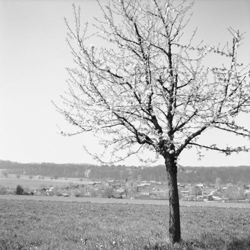 Fotografie, Landschaft