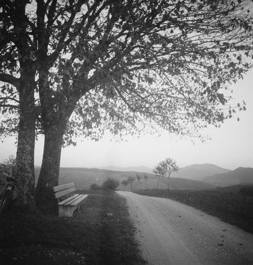 Fotografie, Lampenberg, Obetsmatt -> Osten