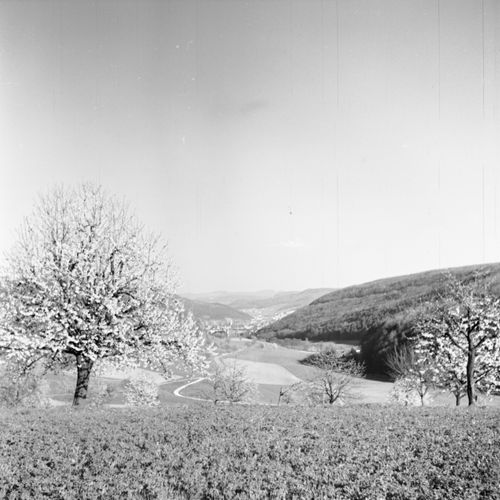 Fotografie, Liestal, Röserental