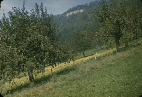Fotografie, Bei Liestal, Rote Fluh