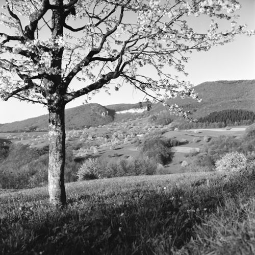 Fotografie, Landschaft