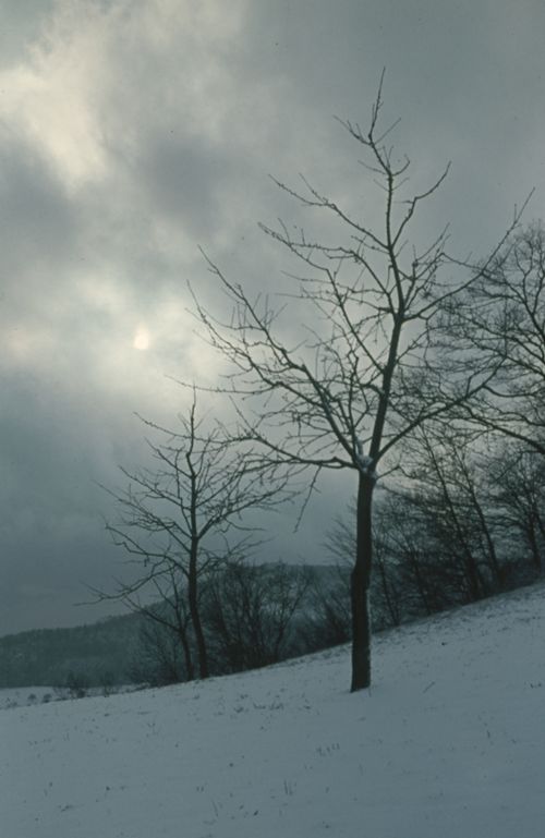 Fotografie, Gelterkinden, Weg zur Farnsburg beim obern Homberg, Wolkenstimmung