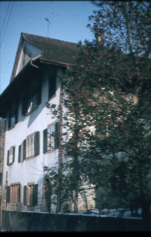 Fotografie, Buus, Haus mit Stechpalme