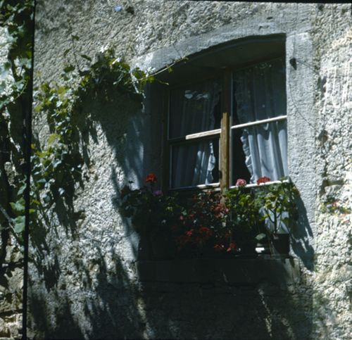 Fotografie, Nusshof, Fenster im Haus Fricker