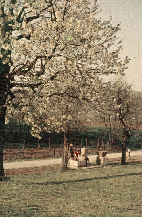 Fotografie, Liestal, Schulreise/Exkursion