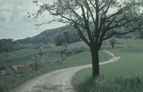 Fotografie, Farnsburg, Baregg