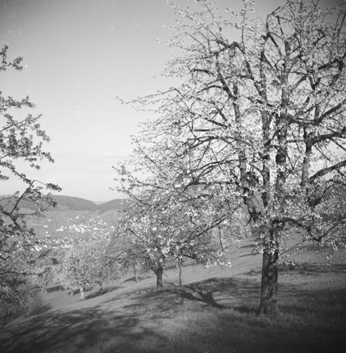 Fotografie, Frenkendorf -> Füllinsdorf