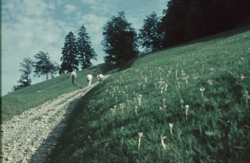 Fotografie, Liestal, Wisenberg