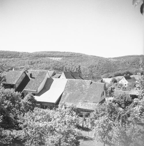 Fotografie, Nusshof
