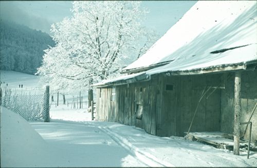 Fotografie, Waldenburg, Waldweide, Winterlandschaft