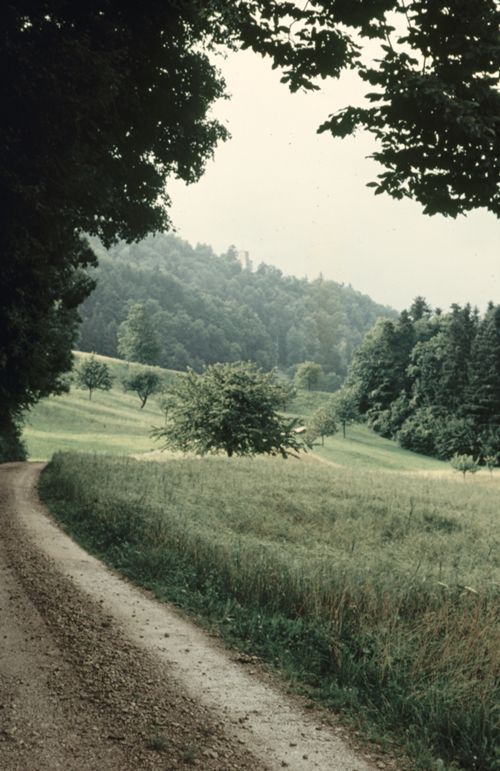 Fotografie, Weg zur Farnsburg