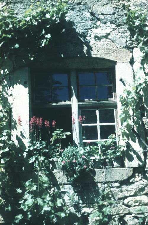 Fotografie, Nusshof, Fenster am Bauernhaus Fricker