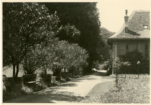 Fotografie, Sissach, Schloss Ebenrain, Allee