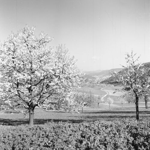 Fotografie, Liestal, Röseren -> Ergolztal aufwärts