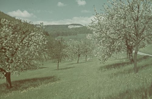 Fotografie, Liestal, Röserental, Schauenburgfluh