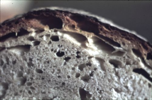 Fotografie, Bauernbrot aus Anwil