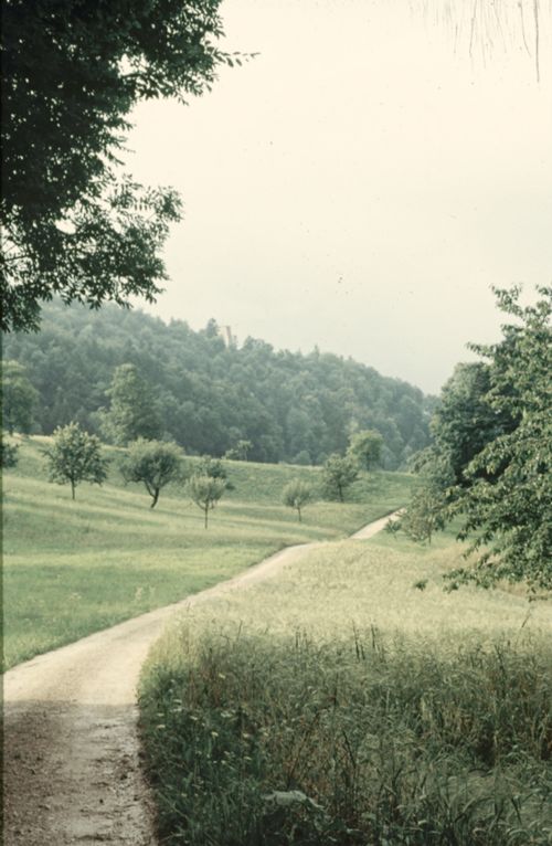 Fotografie, Weg zur Farnsburg