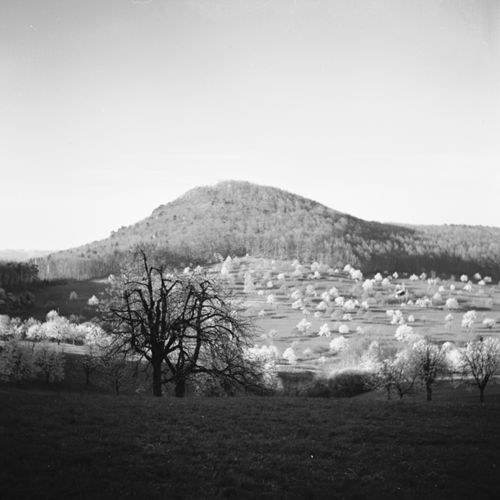 Fotografie, Liestal, Röserental/Madlen