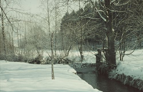 Fotografie, Liestal, Oristal