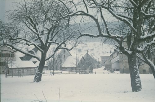 Fotografie, Ormalingen