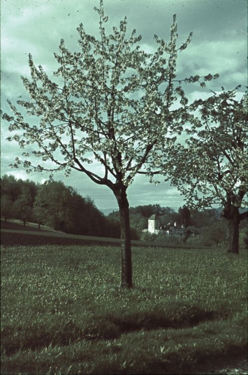 Fotografie, Bubendorf, Blick nach Schloss Wildenstein