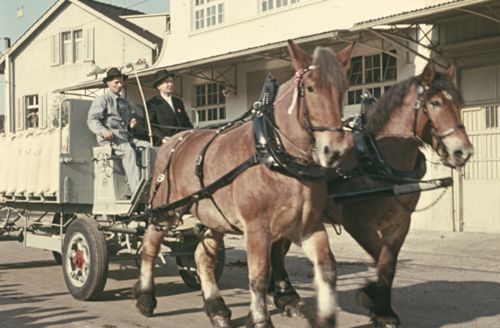 Fotografie, Liestal, 450-Jahrfeier