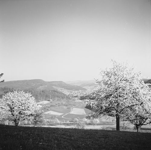 Fotografie, Liestal, Röserental -> Ergolztal aufwärts