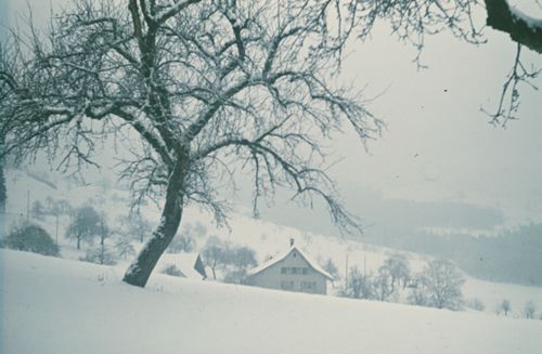 Fotografie, Ormalingen, Winterstimmung