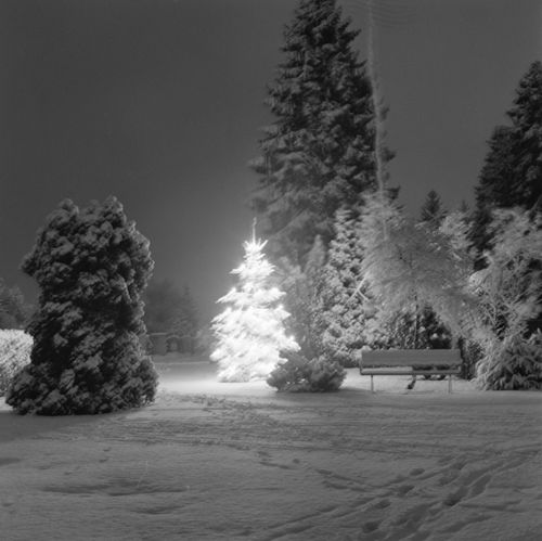 Fotografie, Liestal, Friedhof im Winter
