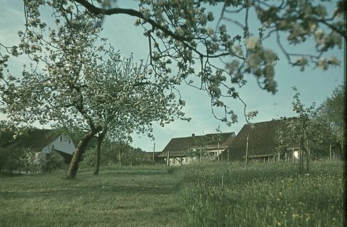 Fotografie, Bei Ramlinsburg