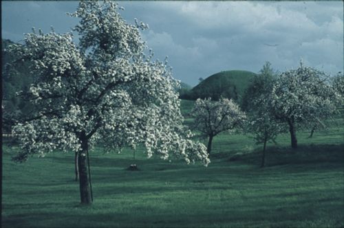 Fotografie, Zunzgen, Büchel