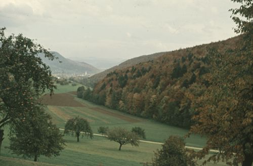 Fotografie, Liestal, Röserental