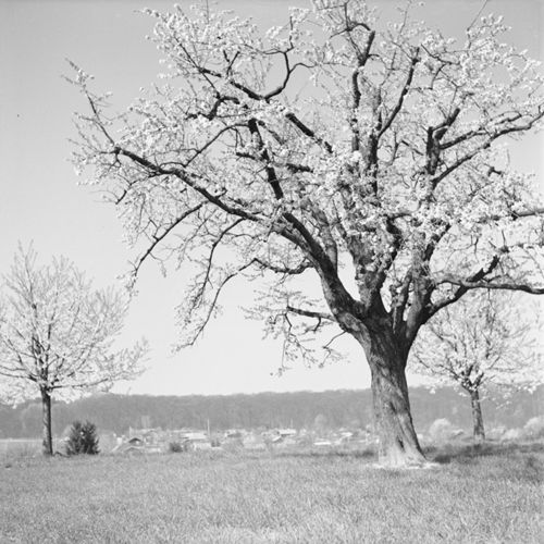 Fotografie, Landschaft