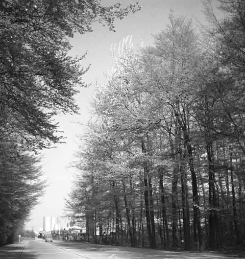 Fotografie, Pratteln, Hard, Landstrasse