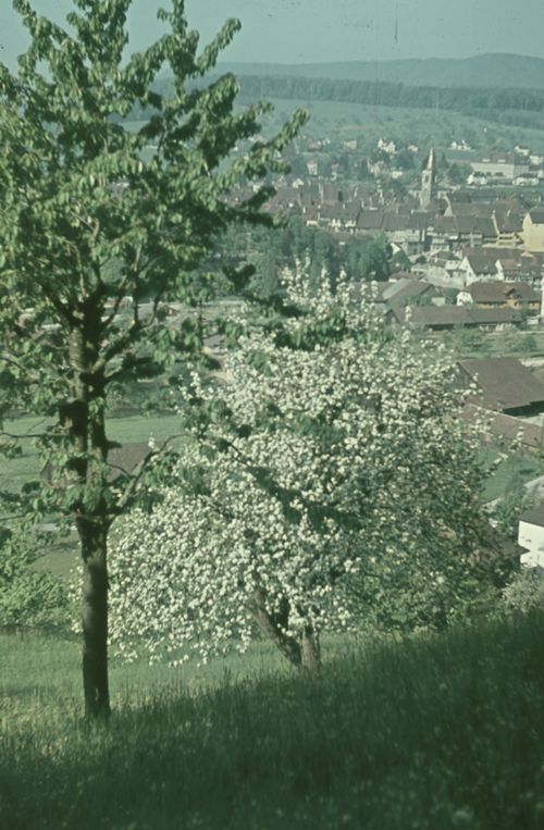 Fotografie, Liestal, Ausblick vom Schleifenberg/Bettlefeld