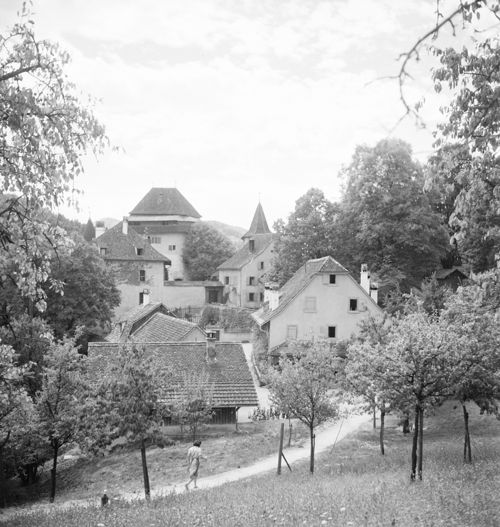 Fotografie, Bubendorf, Wildenstein Schloss